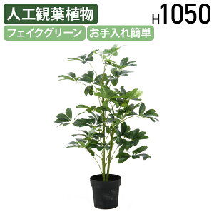 【テレワーク応援】人工観葉植物 ヤドリフカノキ W500 D500 H1050 オフィスアクセサリー 備品 フェイクグリーン 人工観葉植物 観葉植物 フェイク 人工 造花 鉢 植木 葉 枝 観葉樹 室内 木 幅50 奥