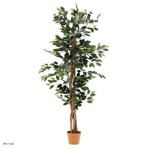 yzzlHϗtA tBJX W600 D600 H1500 lHϗtA tFCNO[  G CeAO[  Vbv tBJX  AȎ bNX Mtg v