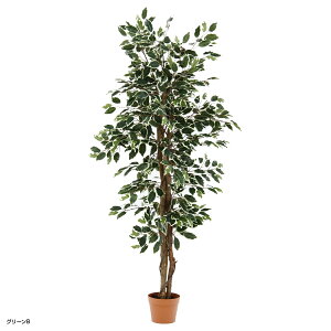 yzzlHϗtA tBJX W600 D600 H1500 lHϗtA tFCNO[  G CeAO[  Vbv tBJX  AȎ bNX Mtg v