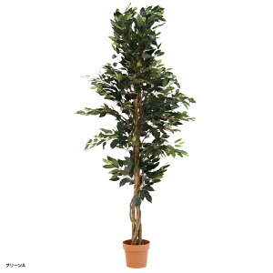 yzzlHϗtA tBJX W900 D900 H1700 lHϗtA tFCNO[  G CeAO[  Vbv tBJX  AȎ bNX Mtg v