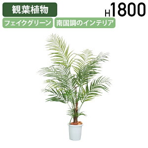 【法人宛限定】アレカパーム W1400 D1400 H1800 オフィスアクセサリー 備品 フェイクグリーン 人工観葉植物 観葉植物 フェイク 人工 造花 光触媒 鉢 植木 葉 枝 観葉樹 室内 木 おしゃれ リアル ヤ