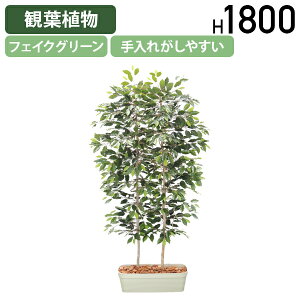 【法人宛限定】ベンジャミンパーテーション W1000 D800 H1800 オフィスアクセサリー 備品 フェイクグリーン 人工観葉植物 観葉植物 フェイク 人工 造花 光触媒 鉢 植木 葉 枝 観葉樹 室内 木 店舗