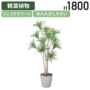 y@lzhZiERVl W900 D900 H1800 ItBXANZT[ i tFCNO[ lHϗtA ϗtA tFCN lH  G}  A t } ϗt    X