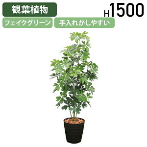 y@lzVFt W500 D500 H1500 ItBXANZT[ i tFCNO[ lHϗtA ϗtA tFCN lH  G}  A t } ϗt    ۂ݂̂t