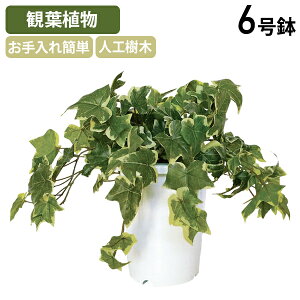 y@lzy[J[izACr[ubV 1 W180 H190 lH lHϗtA ItBXO[  6^Cv tFCN  K[hfBXvC CeA  