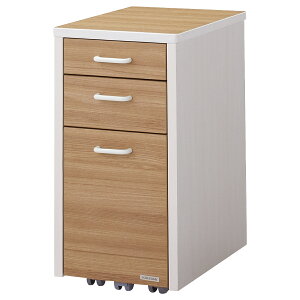 y@lzg XS W318 D453 H585 TChS e  p[\iS fXNLrlbg [ fXN`FXg A4TCY g_ SitI[v[dl y