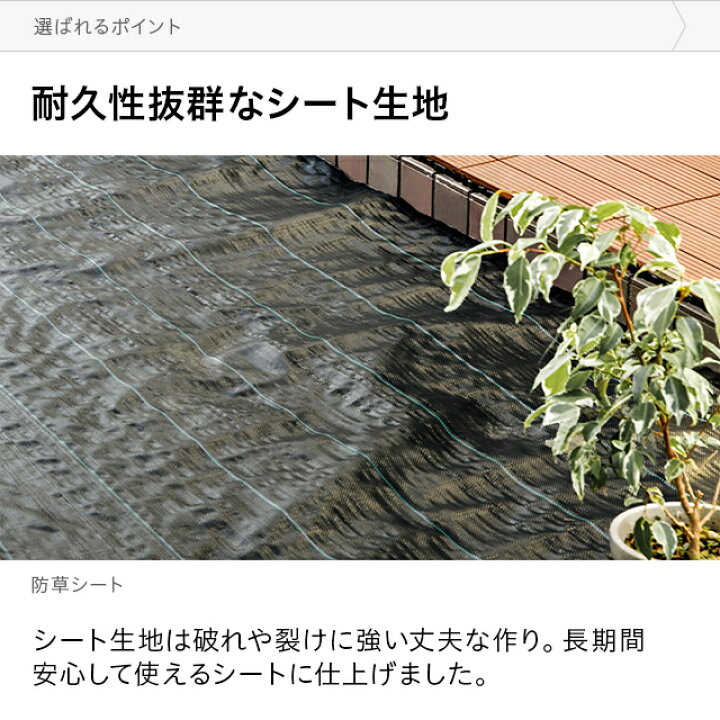 楽天市場 もれなくp5倍 本日12 00 23 59 防草シート ピン 幅1m m 雑草防止 除草シート 防草 シート ガーデニング 草よけ シート 人工芝 ウッドタイルの下に 雑草対策 雑草シート 生えない 雑草抑制 砂利 透水 日光遮断 家具通販カグラボkagulabo最安挑戦 楽天市場 もれなくp5倍 本日12 00 23 59 防草シート ピン 幅1m m 雑草防止 除草シート 防草 シート ガーデニング 草よけ シート 人工芝 ウッドタイルの下に 雑草対策 雑草シート 生えない 雑草抑制 砂利 透水 日光遮断 家具通販カグラボkagulabo最安挑戦
