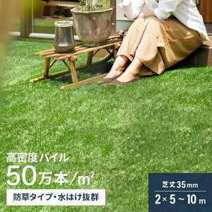 lH [ 2m×5m 2m×10m ŏ35mm h^Cv [^Cv Ő}bg lHŐ lHŃ[ Ő hdl lH  Œs  x_ eX oRj[ K[fjO Ή us