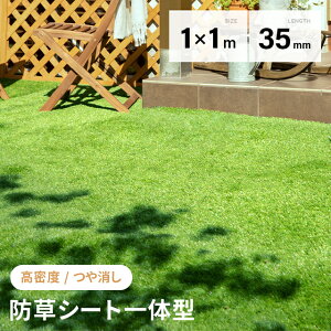 lH [ 1m×1m h^Cv ŏ35mm Ő}bg lHŐ lHŃ[ Ő [^Cv Œs  x_ eX oRj[ K[fjO us Ή ͂ l