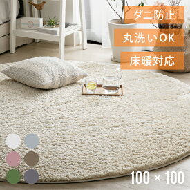 [クーポンSALE開催中／バナーから会場へ] ラグ 円形ラグ シャギーラグ 北欧 rug 100×100 円形 マイクロファイバーシャギー Z4糸 ラグマット シャギーラグ 滑り止め カーペット 洗える 楕円 冬用 夏用