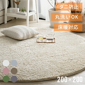 ラグ 円形ラグ シャギーラグ 北欧 rug 200×200 円形 マイクロファイバーシャギー Z4糸 ラグマット シャギーラグ 滑り止め カーペット 洗える 楕円 冬用 夏用