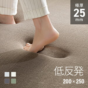 [ȂSiP5{^{12~] O ᔽ 200×250 3 ݃J[ Ɍ 25mm h_j O}bg tl  ~ߕt }CNt@Co[ E^ ᔽO }bg J[ybg O