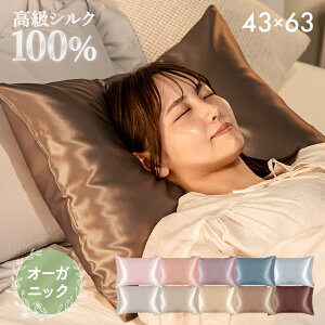 VN VNJo[ Jo[ 43×63cm Jo[ VN100 t@Xi[  19 Ж 25܂Jo[  􂦂  ⊴   s[P[X 43×63 ێ sP[X e ܂Jo