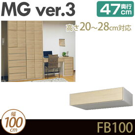 壁面収納 キャビネット 【 MG3 】 フィラーBOX 幅100cm 奥行47cm 高さ20-28cm 上置き フィラーボックス D47 FB100 H20-28 MGver.3 【代引不可】【受注生産品】