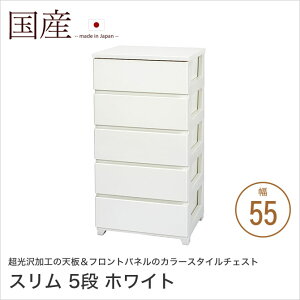 J[X^C`FXg 55cm 5i X zCg o[ H