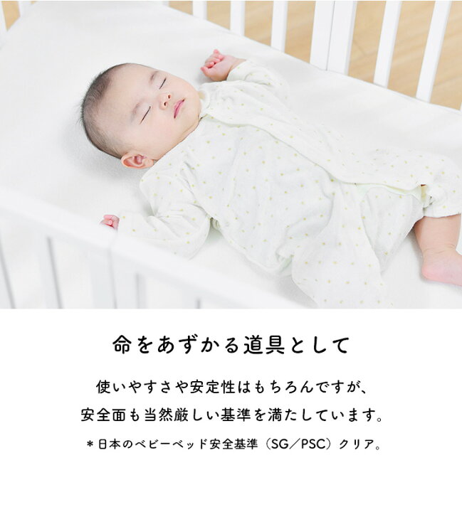 高級な エバニュー Evernew 一輪車ラックyn 10 Ekd117 Fucoa Cl