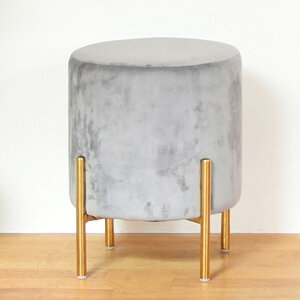 Xc[ xA }[Ch~Xc[ ֎q  CX rO _CjO GKg K[[ AeB[N Be[W y y l炵