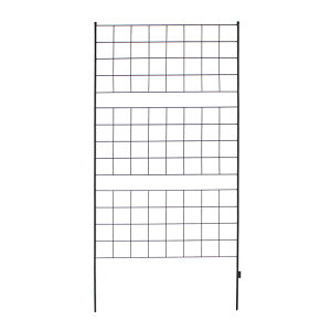   ACAtFX 176 Ot 1 _ mg[ ʋC ̌ ϋv K[fjO i`  S[ o AeB[N d؂