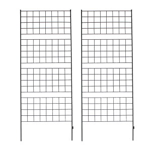   ACAtFX 226 Ot 2g _ mg[ ʋC ̌ ϋv K[fjO i`  S[ AeB[N d؂