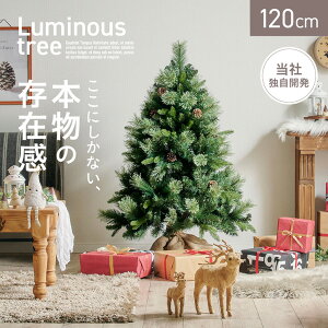 y|Cg10{I20JnIzNX}Xc[ k[hc[ c[  Vv  k ȒPgݗ NX}X Xmas rO Q q qǂ 3̗t Luminous(
