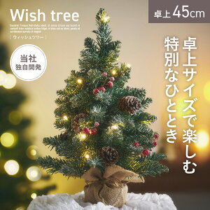y|Cg10{I20JnIzNX}Xc[ c[ RpNgc[ LEDCgt  Vv RpNg  k ȒPgݗ NX}X Xmas rO _Cj