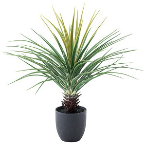 yN[|zzIzlHϗtA tFCNO[ ~jpCibv GRN-12 H67cm lHA ϗtA  tFCN  ^ O[ CeA 킭킭h