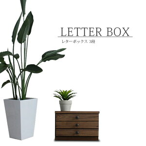 ^[P[X 38cm 3i EH[ibg C ˔ ؖ uE fXN i ؐ ޒI ^[{bNX A4  rO[ _ IV g AeB[N [BOX 