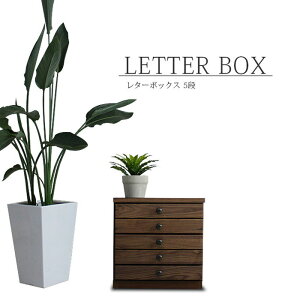 ^[P[X 38cm 5i EH[ibg C ˔ ؖ uE fXN i ؐ ޒI ^[{bNX A4  rO[ _ IV g AeB[N [BOX 
