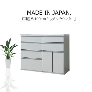 Lb`JE^[ TCh{[h rO{[h 120cm Lb`[ W ؖ nCOX zCg uE JE^[[ @\ TCgN[Y Z~I[_[ GRƋ 