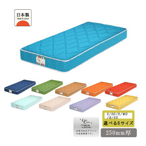 |PbgRC}bgX QSn m[}^Cv GbWubN 6TCY VO Z~_u _u Ch_u NC[ Z~VO xbh}bgX Y { 25cm h_j 