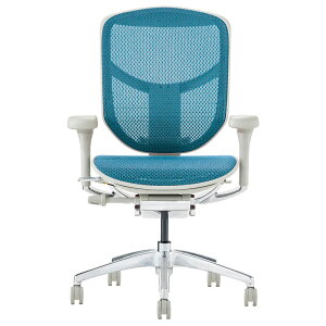 yErgohuman ENJOY2 Low type EJ2-LAMzGWC2 [^CvEGSq[}EOA`FAEItBX`FAEp\R`FAE[N`FAEfXN`FAE֎q(CX)Ez()ys