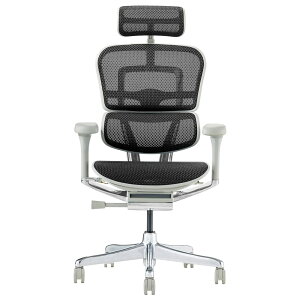 �yErgohuman PRO2 HIGH Type EHP2-HAM�z�G���S�q���[�}�� �v��2 �n�C�EOA�`�F�A�E�I�t�B�X�`�F�A�E�p�\�R���`�F�A�E���[�N�`�F�A�E�f�X�N�`�F�A�E�֎q(�C�X)�E��z��(����)�y����s�z