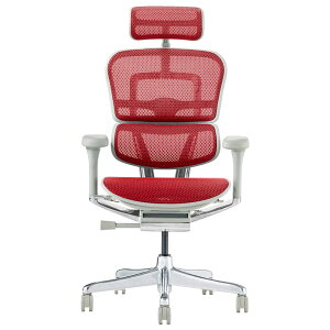 yErgohuman PRO2 HIGH Type EHP2-HAMzGSq[} v2 nCEOA`FAEItBX`FAEp\R`FAE[N`FAEfXN`FAE֎q(CX)Ez()ysz