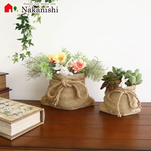 yJo[@v^[@@ STCY@LTCYzy픨z