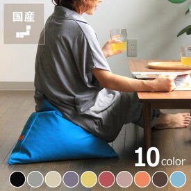 【8/15限定！ポイント10倍】ソファー、座椅子感覚のビーズクッションtetra（テトラ） ミニサイズ※キャンセル不可※代引き不可 ミニ 背もたれ クッション カバー 洗濯 おすすめ 無地 おしゃれ インテリア
