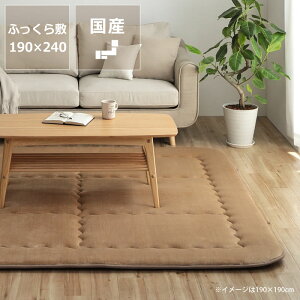 ~zc ӂ ~Pi190cm×240cmu`105`120cmvps `