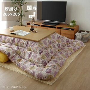 y50̂Iő5000~OFFN[|zzzzc@|Pi205cm×205cmu`75`90cmvps ` {[