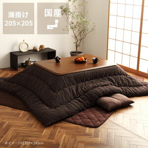 y50̂Iő5000~OFFN[|zzzzc |Pi205cm×205cmu`75`90cmvps