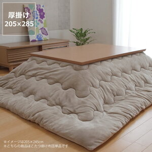 y11/1Iō5000~ȏw500~OFFN[|zzc |Pi205cm×285cmu`135`150cmvps  |zc | ߓd GR  a m ۉ fM h 