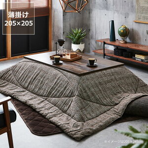 �y5��0�̂�������I�ő�5000�~OFF�N�[�|���z�z���z�����z�c ���|���P�i205cm×205cm�u�����`75�`90cm�v�p��������s�� ������ �|���z�c ���|�� �ߓd �G�R ������� �a�� �m�� �ۉ� �y�� �R���p