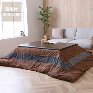 y11/1Iō5000~ȏw500~OFFN[|zzc@|PiiJo[Zbgj200cm×250cmu` 105`120cmvps zc R^czc zcJo[ |zc