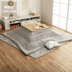 y50̂Iő5000~OFFN[|zzzzc@|Pi@190cm×190cmu` 75`80cmvps  |zc | ߓd GR  k ؍ m V