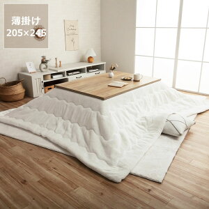 y11/1Iō5000~ȏw500~OFFN[|zzc@|Pi@205cm×245cmu` 120cmvps  |zc | ߓd GR  k ؍ m Vv