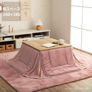 【5と0のつく日限定!最大5000円OFFクーポン配布中】こたつ布団 省スペース 掛け単品160cm×160cm「正方形 60cm」用※代引き不可 こたつ 掛け布団 薄掛け 節電 エコ おしゃれ 北欧風 韓国風 洋風