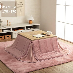 �y5��0�̂�������I�ő�5000�~OFF�N�[�|���z�z���z�����z�c �ȃX�y�[�X�@�|���P�i170cm×170cm�u�����` 70cm�v�p��������s�� ������ �|���z�c ���|�� �ߓd �G�R ������� �k���� �؍��� �m�� 