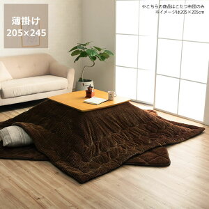 y10/1!ō5000~ȏw500~OFFN[|zzc@|Pi@205cm×245cmu` 120cmvps  |zc | ߓd GR  i` 킢 k m