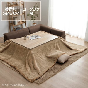 y50̂Iő5000~OFFN[|zzzzc@|Pi190cm×240cm 190cm×290cm 240cm×260cm 240cm×320cms  |zc |zc |ӂƂ g | ߓd GR 