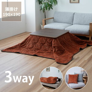 y11/1Iō5000~ȏw500~OFFN[|z3Way|zc190cm×190cmu` 75`80cmvps zc Qܖѕz NbV Vt AEghA hЃObY OK 