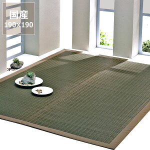 y11/1Iō5000~ȏw500~OFFN[|z O O J[ybguRv (190×190cm) CX^C (inSTYLE) T}[}bg T}[O ߓd ߓd΍ C΍ z R 