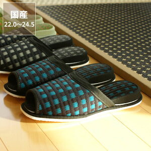 Xbpub^v M (22.0`24.5cm) CX^C (inSTYLE) ߓd ߓd΍ C΍ z R L ~ Mtg fB[X Y qp  AWA  [V[Y 